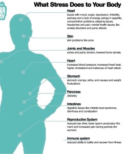 How Stress affects you